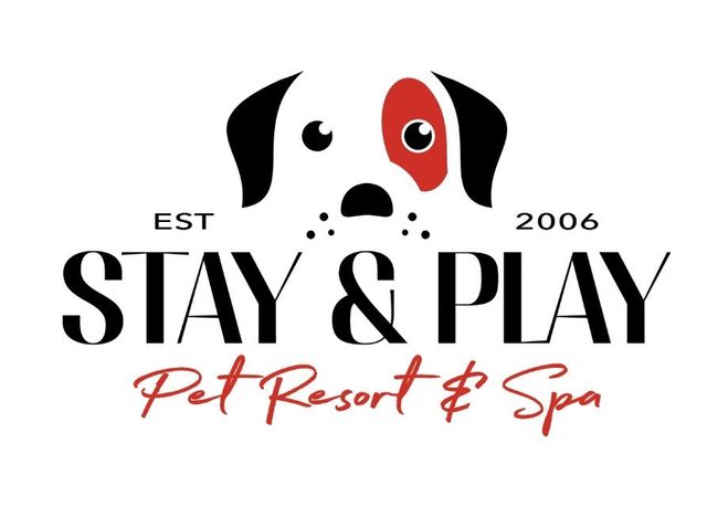 Stay and play cheap pet resort